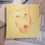 Wayne Hussey - @wdhussey - Instagram
