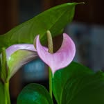 Wayne Huynh - @wayne.huynh - Instagram