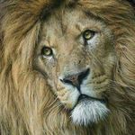 wayne hyden - @waynehyden_ - Instagram