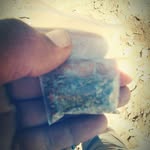 Wayne Ice-cat Blaze Hood - @wayneblazehood - Instagram