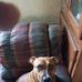 Wayne Ingle - Facebook