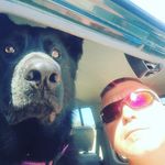 Wayne Ingledew - @wayneingledew - Instagram