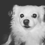 Wayne Ireland - @ireland8008 - Instagram