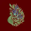Wayne ISA - @wayne.isa - TikTok