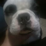 Tyler Wayne Risley - @tylerwaynerisley - Instagram