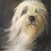 Wayne Janisch Portraits - Facebook