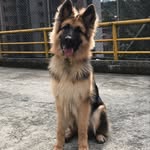 Bruce Wayne Jaramillo - @bruce_w_j - Instagram
