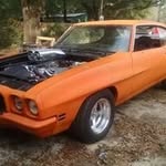 Wayne Jarrett - @waynenflorida - Instagram