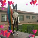 Wayne Jarrett - @waynejarrett01 - Instagram