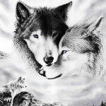 Jason Wayne - @wayne.jason - Instagram