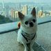 Wayne Jason - Facebook