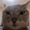 jasperwayne6 - @jasperwayne6 - TikTok