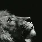 Wayne Jean Baptiste Etienne - @waynejeanbaptisteetienne - Instagram