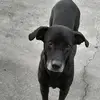 Wayne Jefferson - @wayne.jefferson6 - TikTok