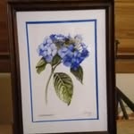 Wayne Jeffrey Clarke - @waynejeffreyclarke - Instagram
