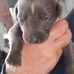 Wayne Jepson - Facebook