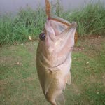 Wayne Jeter - @wayne.jeter.589 - Instagram