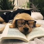Wayne Jin - Facebook