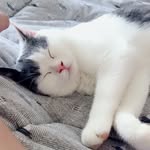 Wayne Jin - @jin.wayne - Instagram