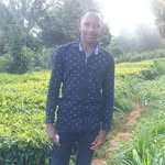 Wayne Jing - @waynejing - Instagram