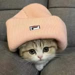 Wayne Li - @waynejinqili - Instagram