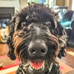 Deh-Wayne Johansson - @dehwaynejohansson - Instagram
