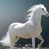 Wayne Johnson - @wayne.johnson53 - TikTok