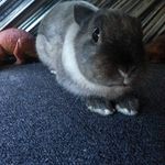 Wayne Joiner - @wayne.joiner.311 - Instagram