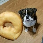 Wayne Joiner - @wayne.joiner.79 - Instagram