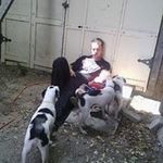 Wayne Jolly - @jolly_wayne - Instagram