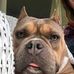 Wayne Jones - Facebook