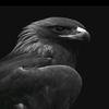 Joy_wayne - @joy_wayne - TikTok