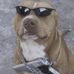 Wayne Joy - Facebook