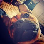 Wayne Joyce - @wayne80joyce - Instagram