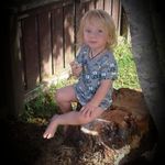Wayne Joyce - @wayne.joyce.752 - Instagram