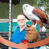 Wayne Richter - @waynejudge3 - TikTok
