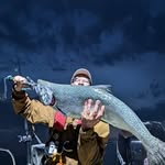 Wayne Judkins - @behindtherocks1 - Instagram
