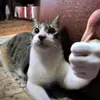 Wayne Jaune - @wayne.jaune - TikTok