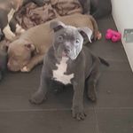 Wayne Jupp - @jupp.wayne - Instagram