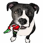 Bruce Wayne Justice - @brucewayne_justice - Instagram