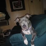 Wayne Justice - @waynejustice1 - Instagram