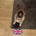 Wayne Kennedy - Facebook