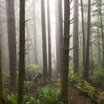Wayne Kayser - @wayne.kayser - Instagram