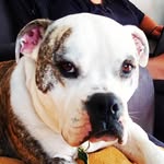 Wayne Kearns - @the_dirt_den_wgtn - Instagram
