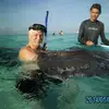 diver - @waynekenney3 - TikTok