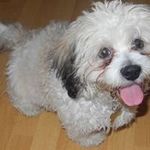 Wayne Mckeown - @wayne.mckeown.3 - Instagram