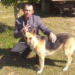 Wayne Kephart - @waynekephart - Instagram