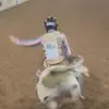 Wyatt Kephart - @wyatt.kephart - TikTok
