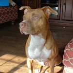 Wayne Kilpatrick - @kilpatrickwayne - Instagram