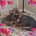 Wayne King - Facebook